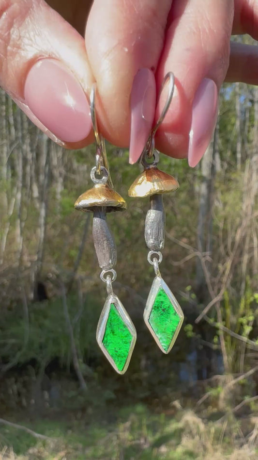 Symbiotic Connections