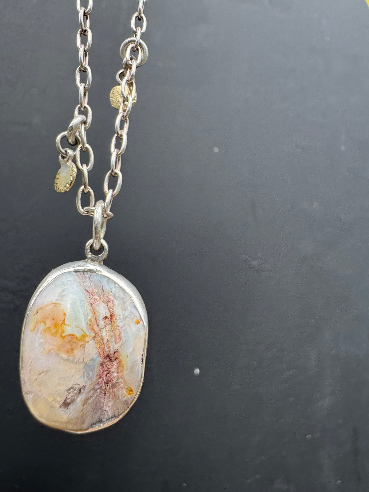 Opalized Clam