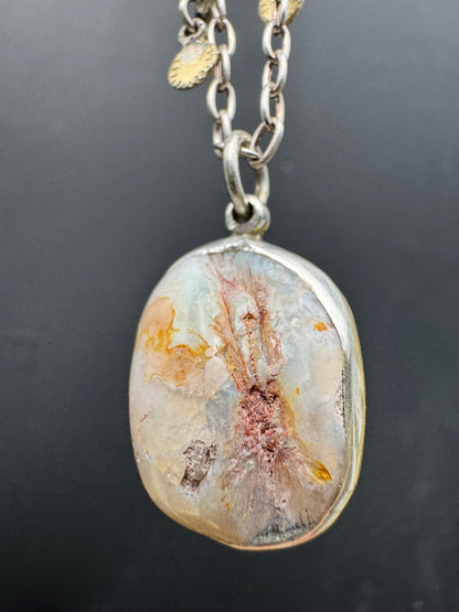 Opalized Clam