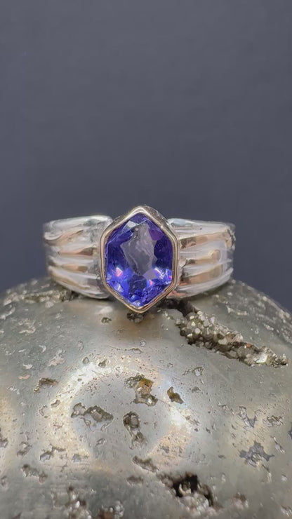 Queen of the Twilight